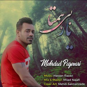 دانلود آهنگ یار بی همتا با صدای مهرداد پازواری
