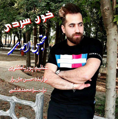 آهنگ خون سردی صدای مجتبی احمدی