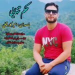 آهنگ حکم تنهایی با صدای امیر کاردمحلی
