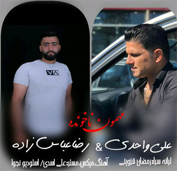 آهنگ مهمون ناخونده با صدای علی واحدی و رضا عباس زاده