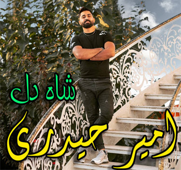 آهنگ شاه دل با صدای امیر حیدری