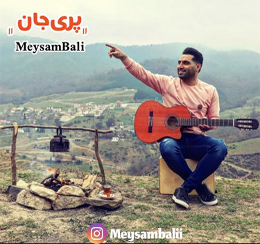 دانلود آهنگ جدید میثم بالی با نام پری جان