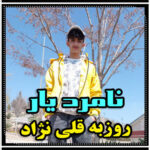 آهنگ نامرد یار با صدای روزبه قلی نژاد