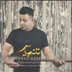آهنگ تنهایی با صدای محمد نادرپور