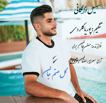 آهنگ گل صنم جان با صدای سهیل ذالکانی