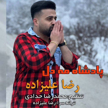 آهنگ پادشاه مه دل با صدای رضا علیزاده