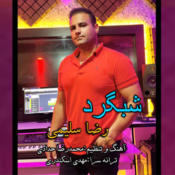 آهنگ شبگرد با صدای رضا سلیمی