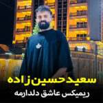 آهنگ ریمیکس عاشق دلدارمه با صدای سعید حسین زاده آهنگ ریمیکس عاشق دلدارمه با صدای سعید حسین زاده