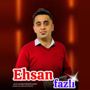 آهنگ ریمیکس شاد با صدای احسان فضلی
