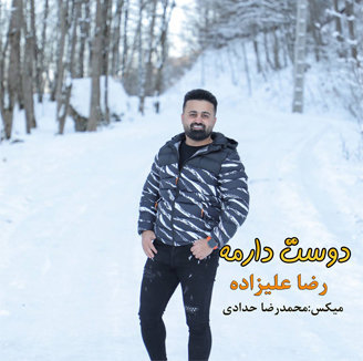 آهنگ دوست دارمه با صدای رضا علیزاده