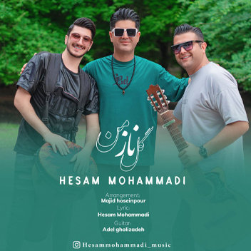 آهنگ گل ناز من با صدای حسام محمدی
