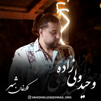 آهنگ کلاغان شهر با صدای وحید ولی زاده