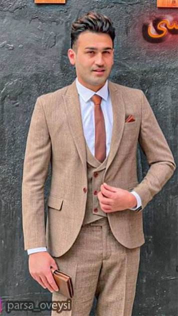 بیوگرافی پارسا اویسی