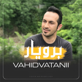 آهنگ برو یار با صدای وحید وطنی