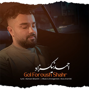 آهنگ گل فروش شهر با صدای احمد نیکزاد