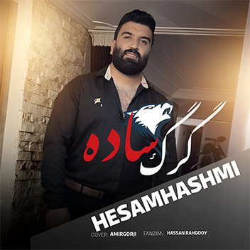 آهنگ گرگ ساده با صدای حسام هاشمی