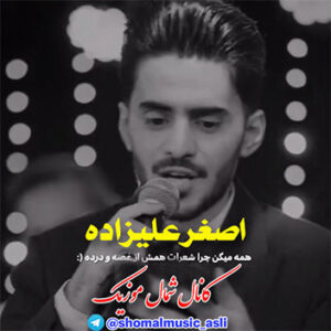 آهنگ همه میگن چرا شعرات با صدای اصغر علیزاده
