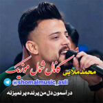 آهنگ در آسمون دل من پرنده پر نمیزنه با صدای محمد ملایی