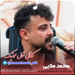 آهنگ آخرش از دست تو میشم دیوونه با صدای محمد ملایی