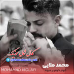 آهنگ کبوتر دلوم پر میزنه با صدای محمد ملایی
