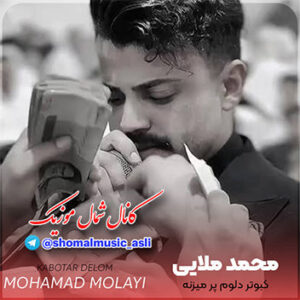 آهنگ کبوتر دلوم پر میزنه با صدای محمد ملایی