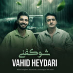 آهنگ شو کفنی با صدای وحید حیدری آهنگ شو کفنی با صدای وحید حیدری