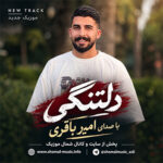 آهنگ دلتنگی با صدای امیر باقری آهنگ دلتنگی با صدای امیر باقری