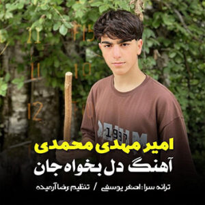 آهنگ دلبخواه جان با صدای امیرمهدی محمدی