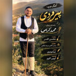 آهنگ پیرمردی با صدای محمد کریمی آهنگ پیرمردی با صدای محمد کریمی